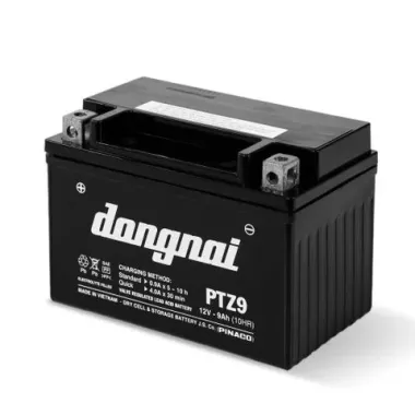 Ắc quy khô miễn bảo dưỡng Đồng Nai EFB Q85L - 12V - 65Ah